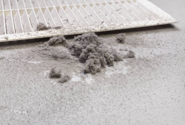 Best Air Duct Cleaning Near Me  in Burton, MI