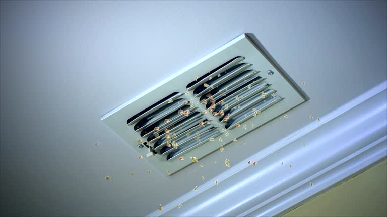 Best Dryer Vent Cleaning Services  in Burton, MI