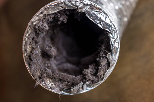 Best Affordable HVAC Duct Cleaning  in Burton, MI