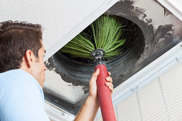 Best Air Duct Cleaning Near Me  in Burton, MI