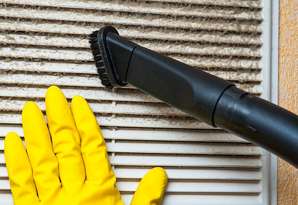 Best Affordable HVAC Duct Cleaning  in Burton, MI